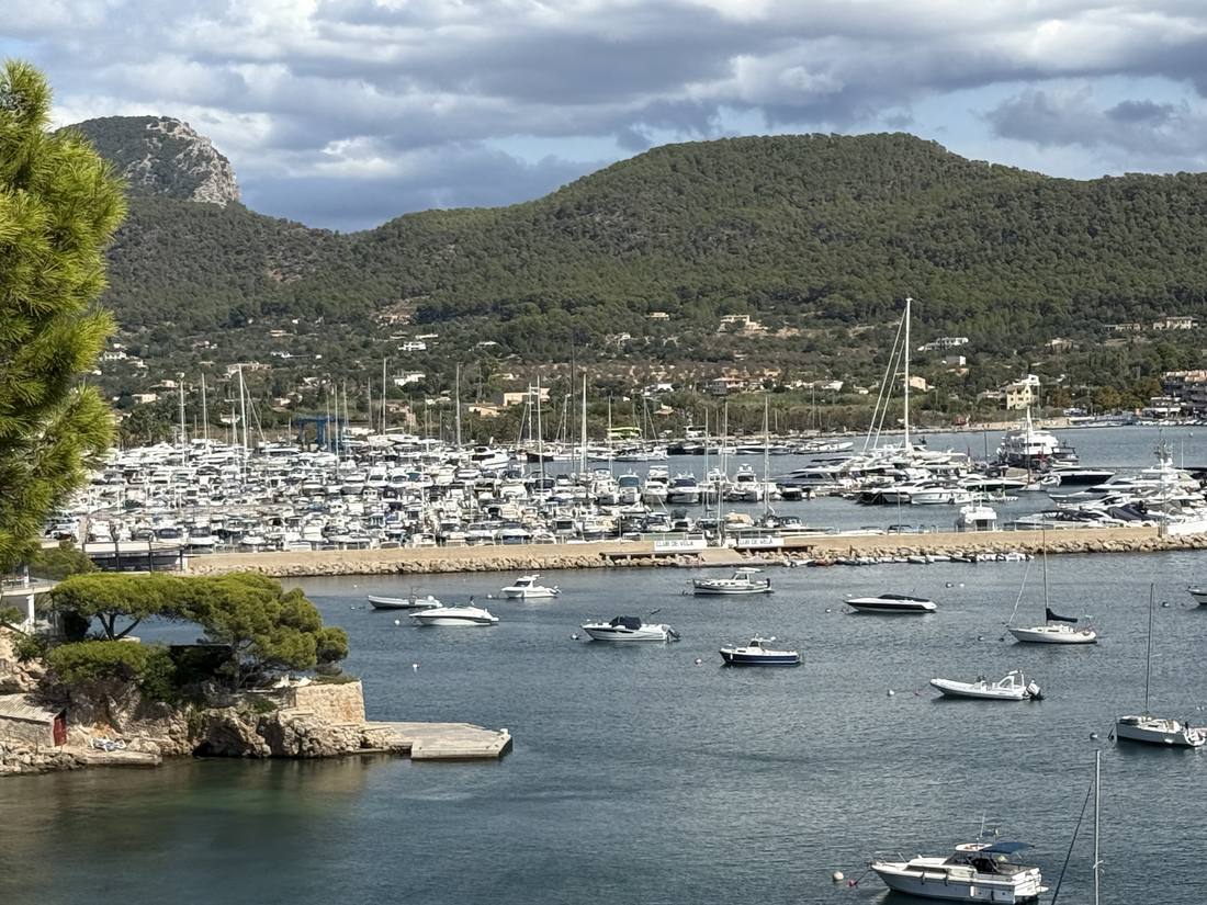 Port d'Andratx
